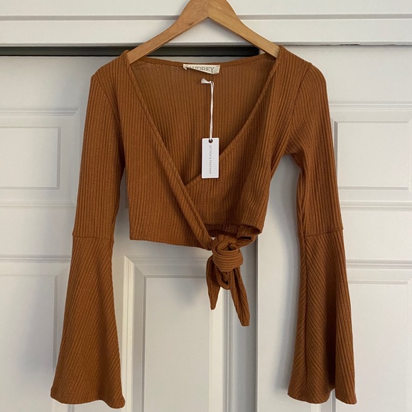 Audrey 3+1 Tops - NWT Stitch & Feather Audrey 3+1 Rust Crop Wrap Top